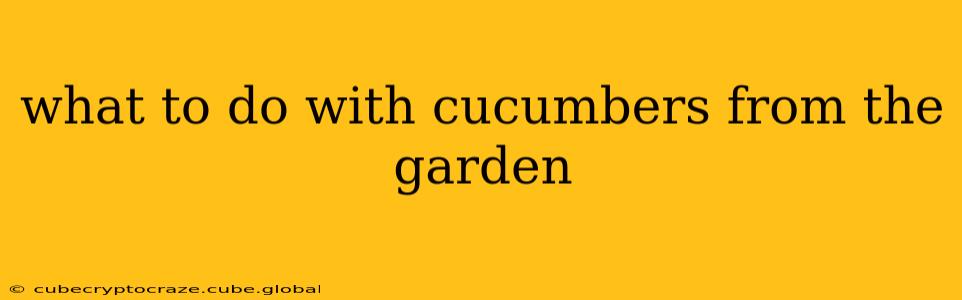 what to do with cucumbers from the garden