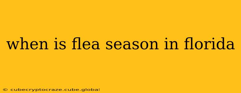 when is flea season in florida