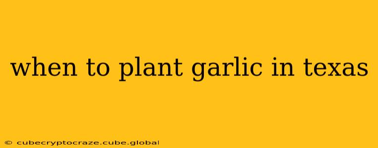 when to plant garlic in texas