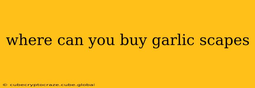 where can you buy garlic scapes