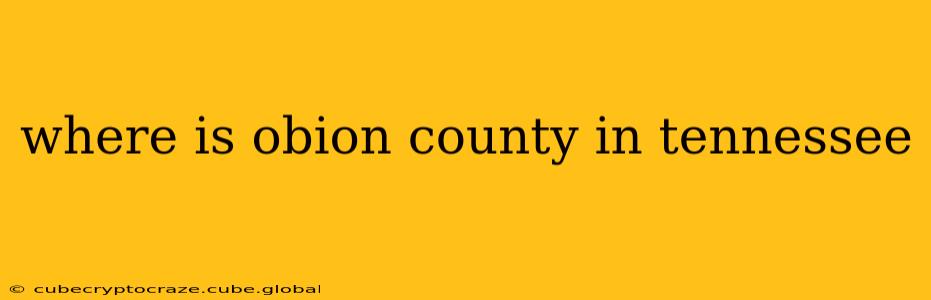 where is obion county in tennessee