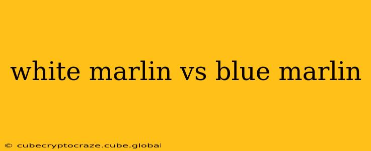 white marlin vs blue marlin