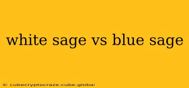 white sage vs blue sage