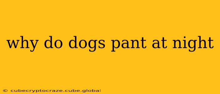 why do dogs pant at night