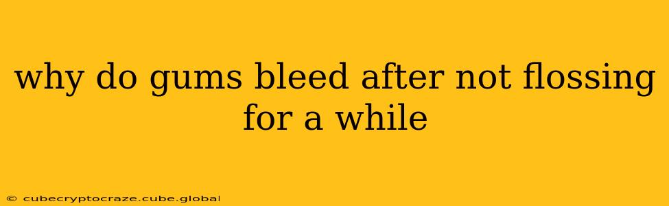 why do gums bleed after not flossing for a while
