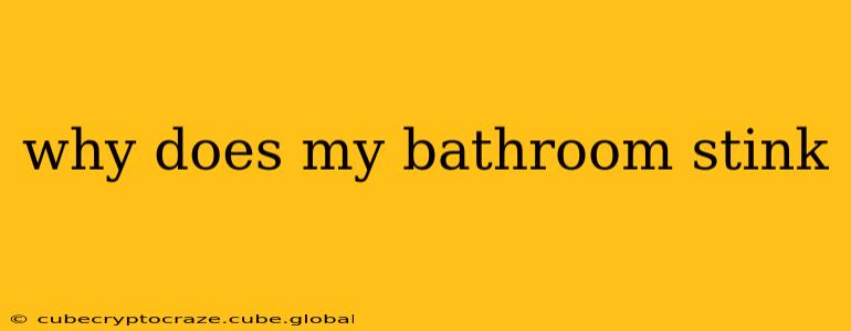 why does my bathroom stink