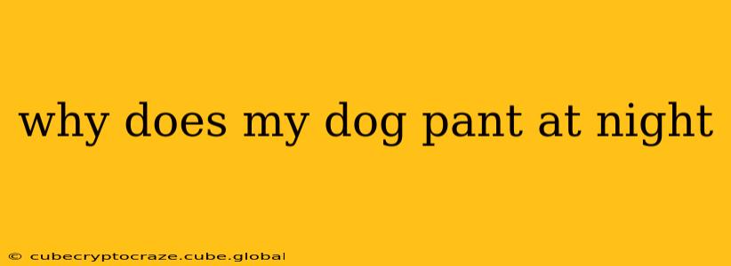 why does my dog pant at night