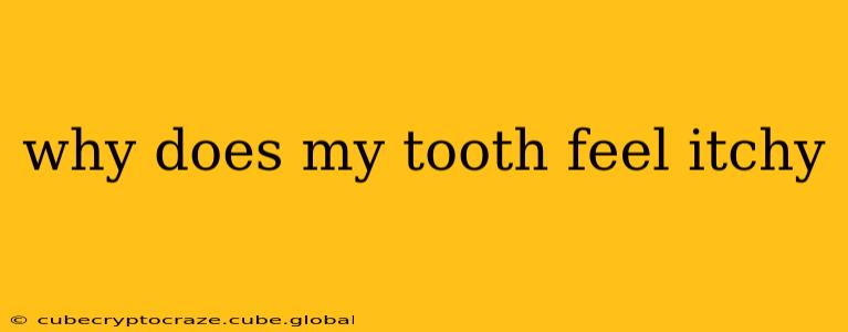 why does my tooth feel itchy