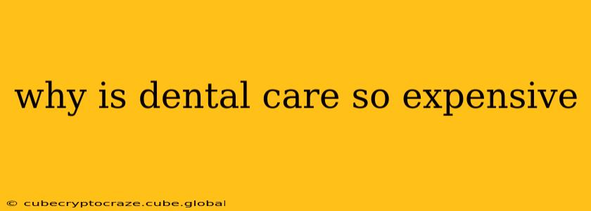 why is dental care so expensive