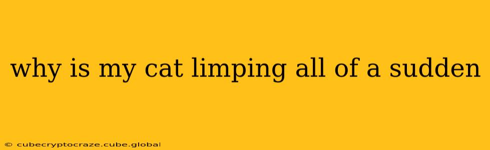 why is my cat limping all of a sudden