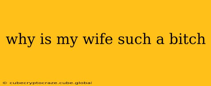 why is my wife such a bitch