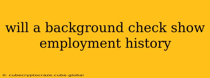 will a background check show employment history
