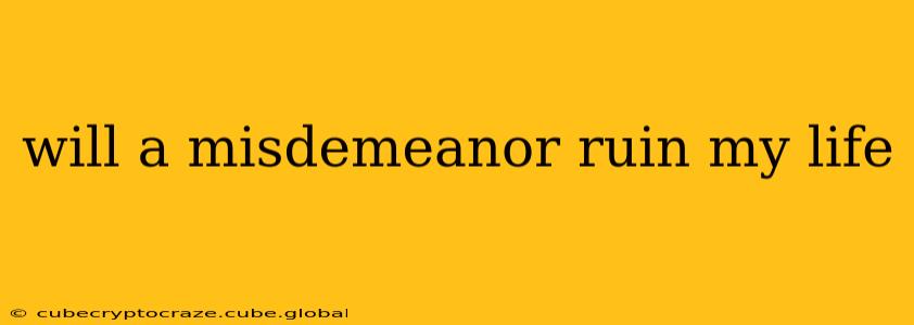 will a misdemeanor ruin my life