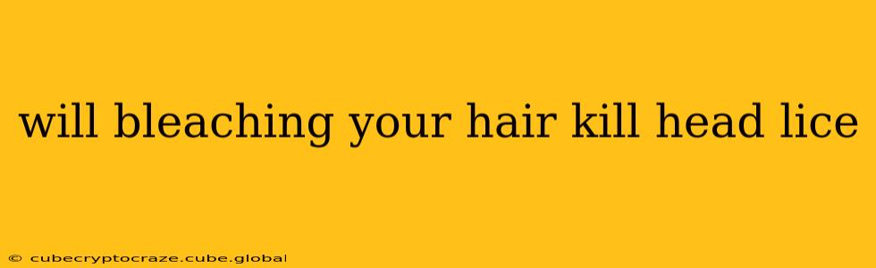 will bleaching your hair kill head lice