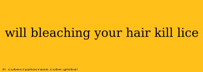 will bleaching your hair kill lice