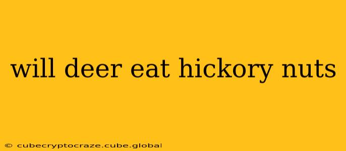 will deer eat hickory nuts