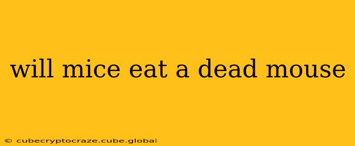 will mice eat a dead mouse