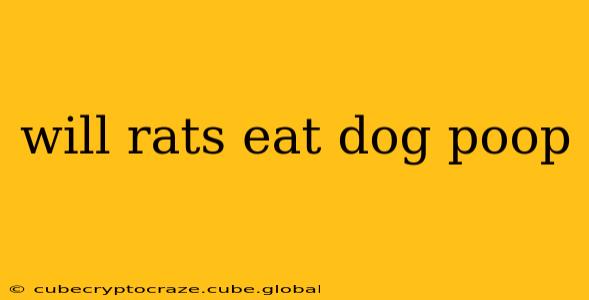 will rats eat dog poop