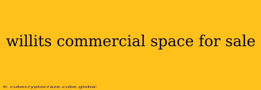 willits commercial space for sale