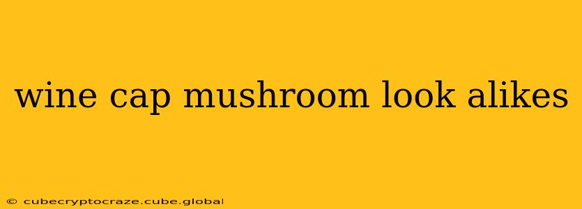 wine cap mushroom look alikes