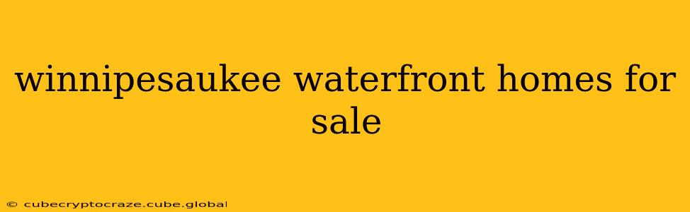 winnipesaukee waterfront homes for sale