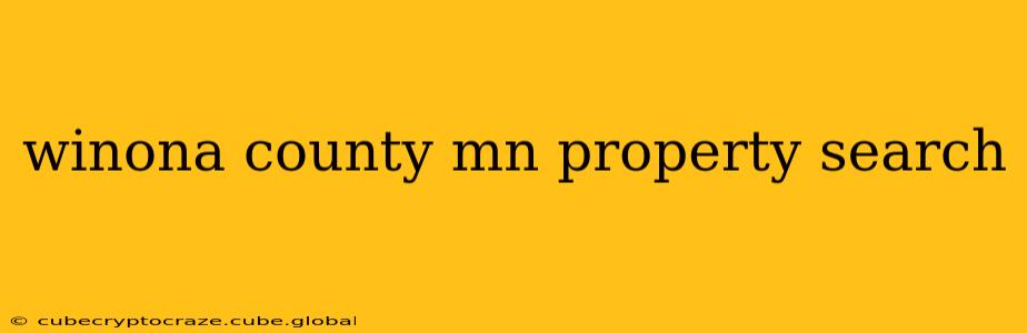 winona county mn property search