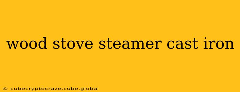 wood stove steamer cast iron