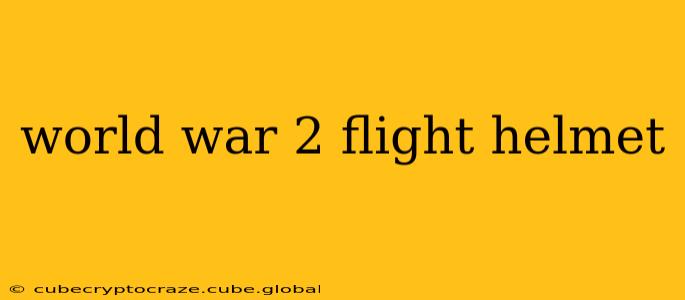 world war 2 flight helmet